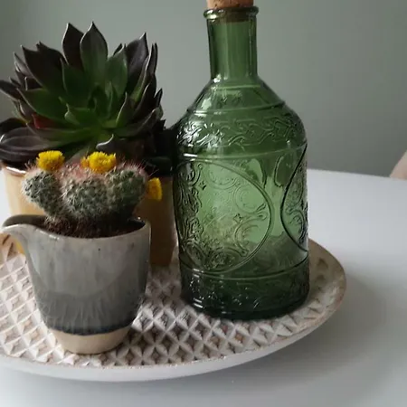 Casas Do Jardim * Marco de Canavezes