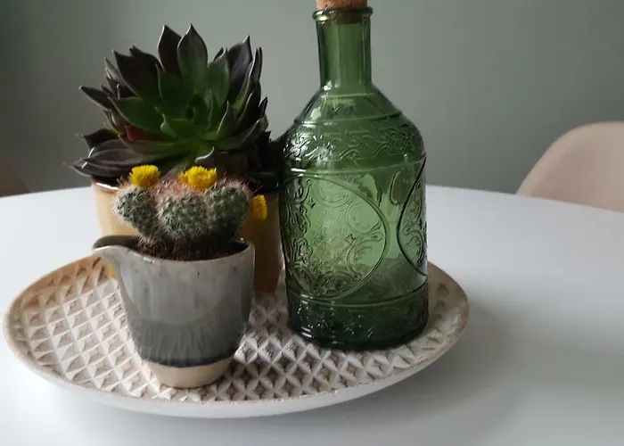 Casas Do Jardim * Marco de Canavezes